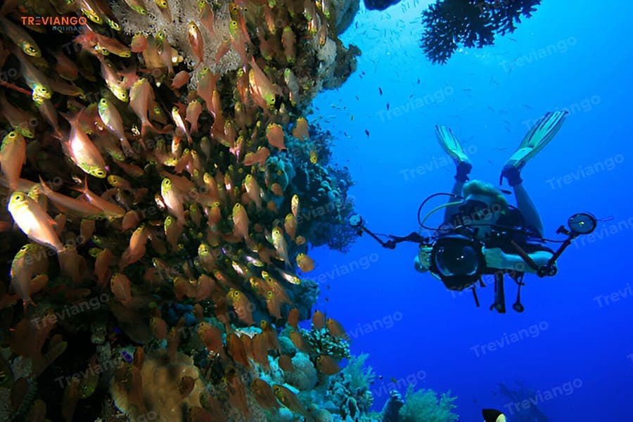 Discover Scuba Diving Sharm El Sheikh luxury tour