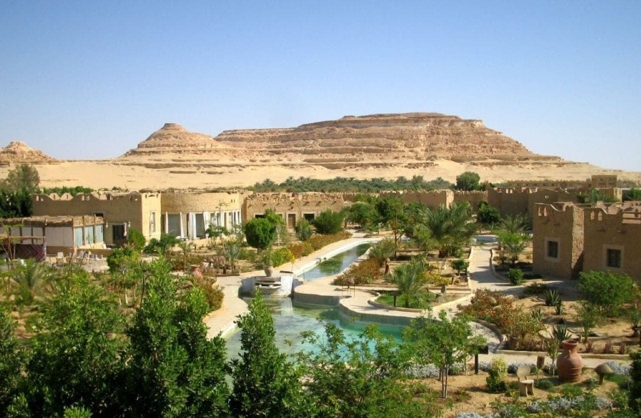 siwa-oasis