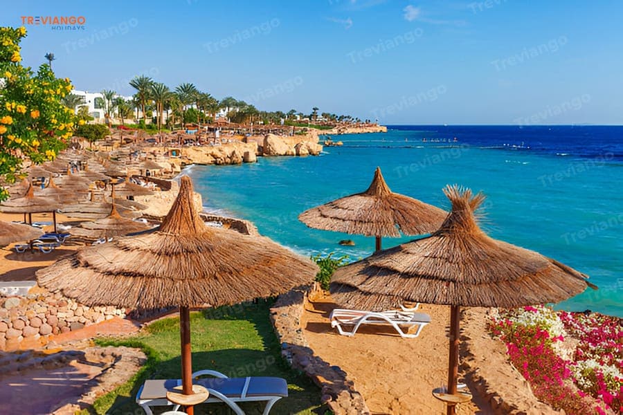 sharm including hotel & sightseeings multi day