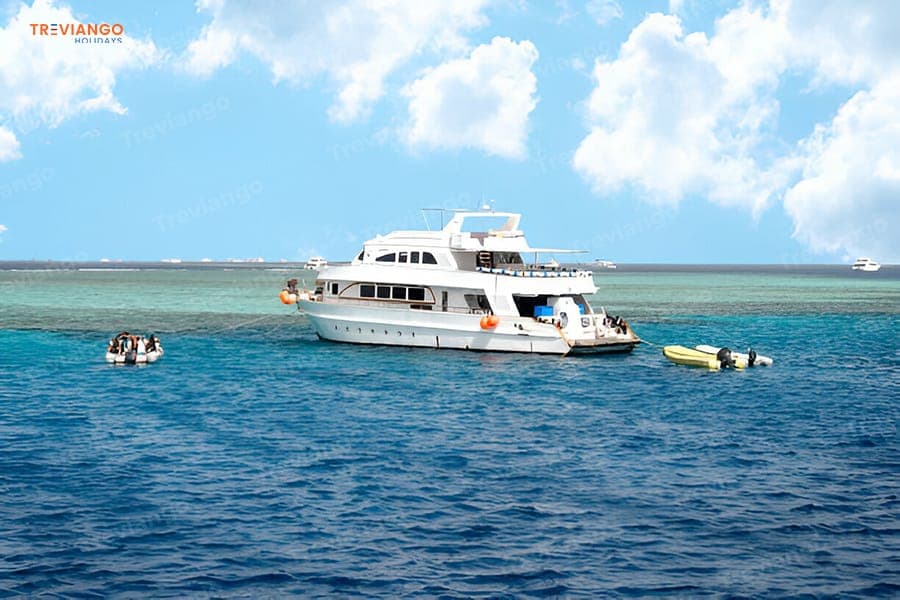 Ras Mohamed & White Island luxury 2