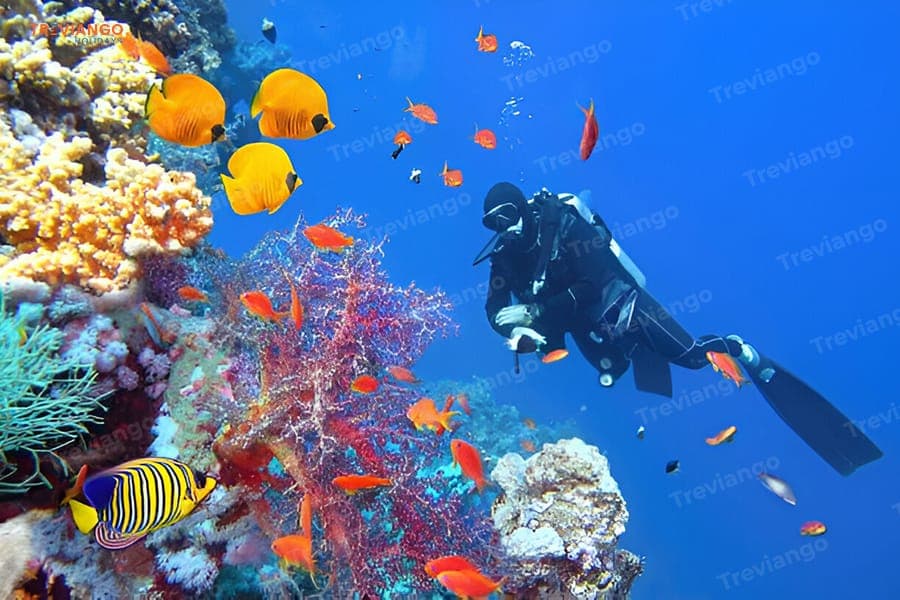 Scuba Diving Sharm El Sheikh Private Tours