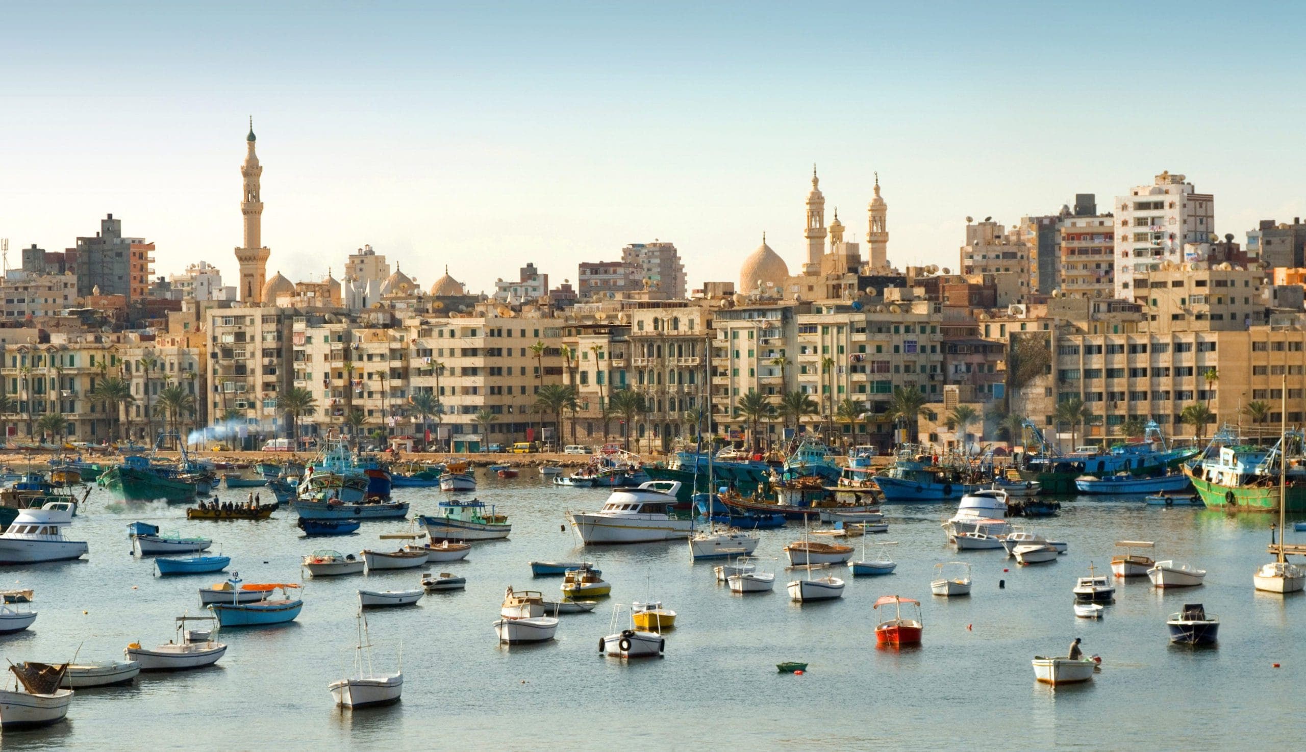 aviationbusinessmeAlexandria_city-scaled