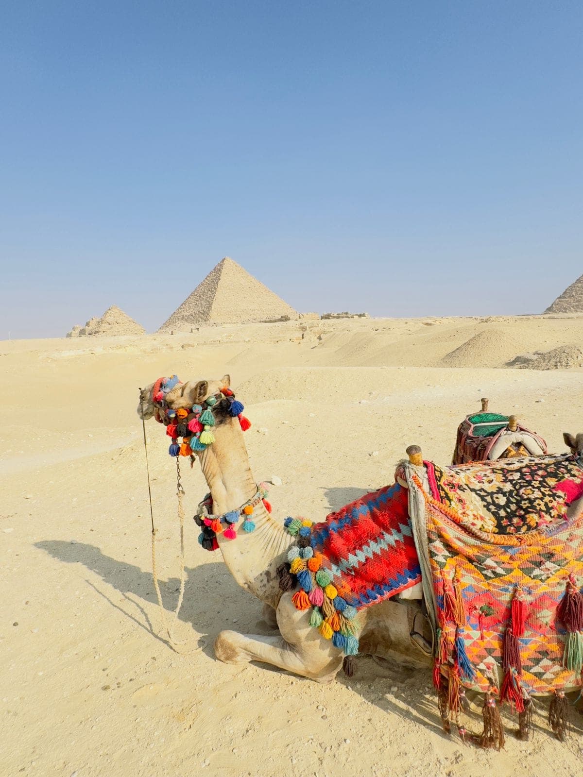 pyramids of giza