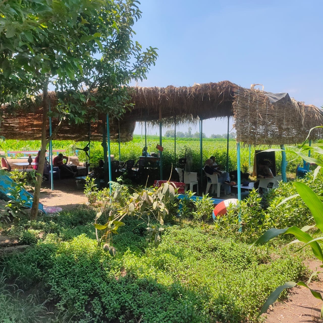 Egypt-Countryside