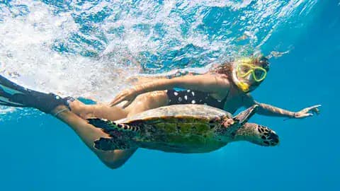 Snorkeler swimming with a sea turtle in clear blue waters.