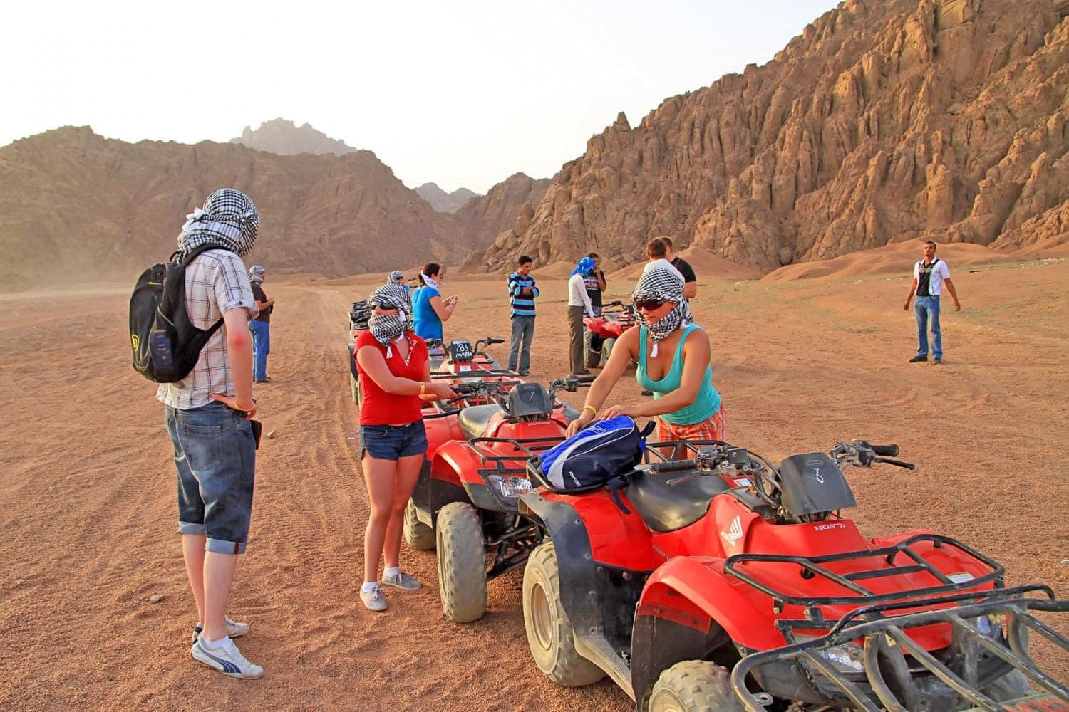 Quad Safari